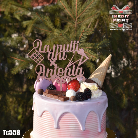 Meserii - Topper tort Personalizat TC558