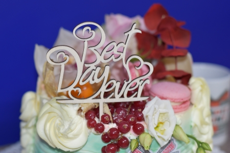 Topper Tort Best day Ever  TC12 [1]