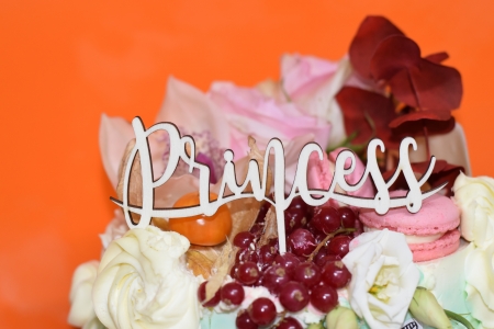 Topper Tort   Princess TC19 [1]
