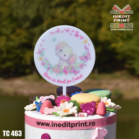 Natura si Animalute - Topper Tort UV "Bine ai venit pe lume" TC463