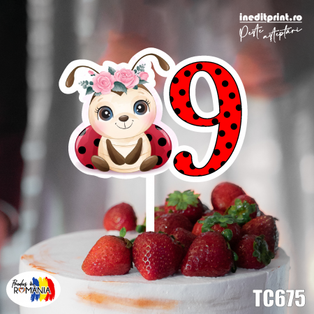 Natura si Animalute - Topper Tort UV Buburuza TC675