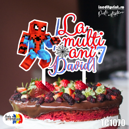 Varsta - Topper Tort UV Minecraft Spider-Man TC1070