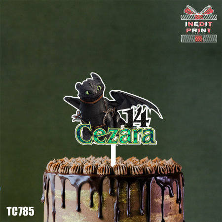 Evenimente - Topper Tort UV Personalizat Cum sa-ti antrenezi dragonul TC785
