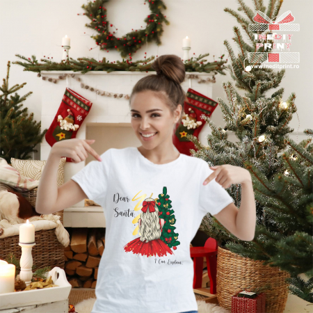 Tricouri Craciun - Tricou Dear Santa...I can Explain TP170