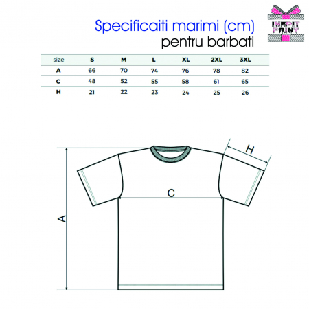 Tricou personalizat România 100 [1]