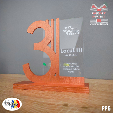 Trofee - Trofeu Personalizat Locul 3 PP6