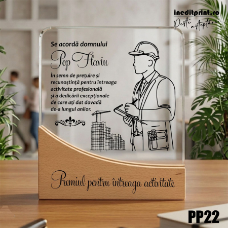 Pachete Cadou - Trofeu personalizat pentru Inginer PP22