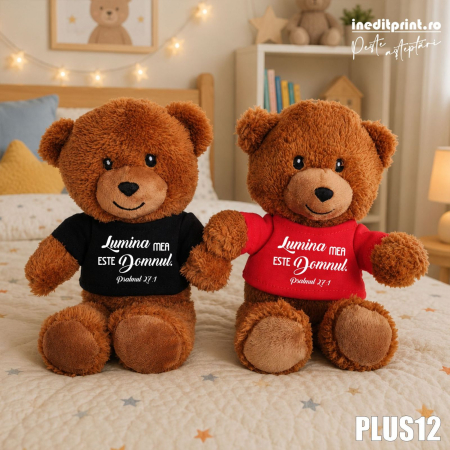 Mascote de pluș - Ursulet Teddy Negru Personalizat PLUS12