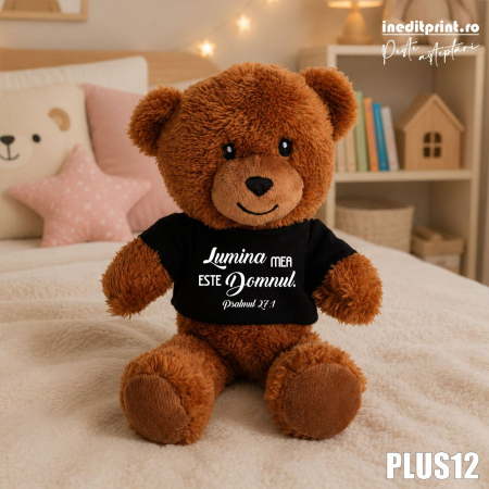 Ursulet Teddy Negru Personalizat PLUS12 [1]