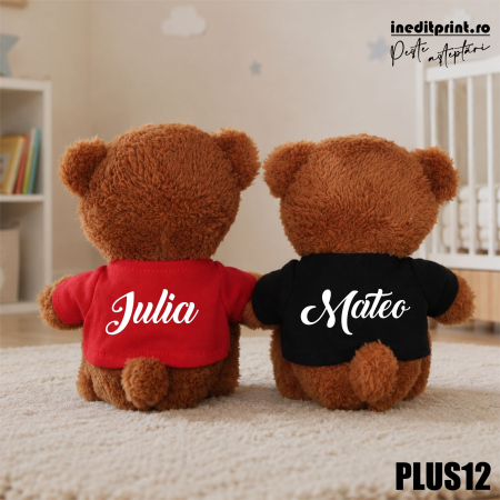 Ursulet Teddy Negru Personalizat PLUS12 [2]