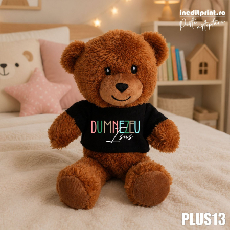 Mascote de pluș - Ursulet Teddy Negru Personalizat PLUS13