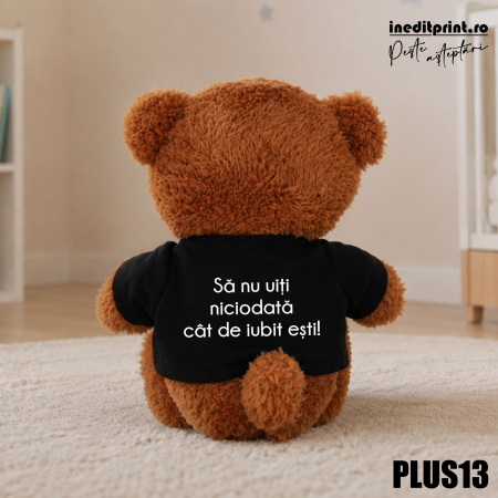 Ursulet Teddy Negru Personalizat PLUS13 [1]
