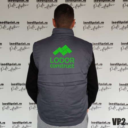 Vesta Reporter personalizată VP2 [3]