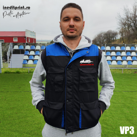 Vesta Thunder personalizată VP3 [1]