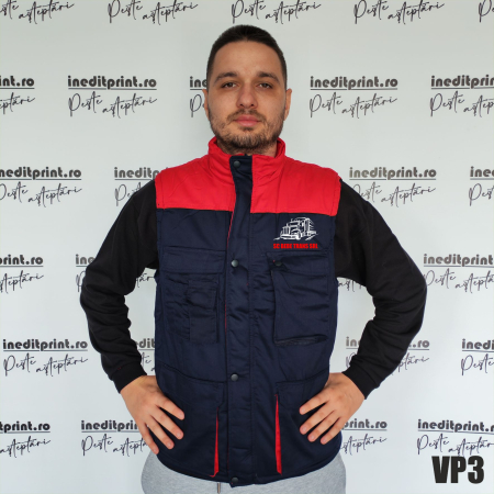 Vesta Thunder personalizată VP3 [1]