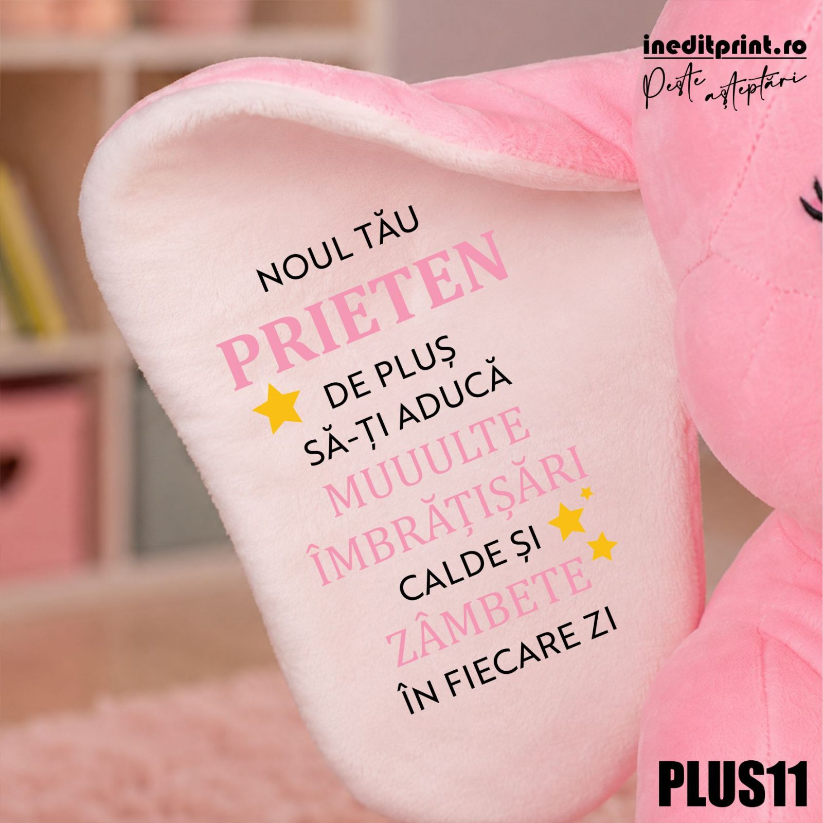 Aceasta este imaginea corespunzatoare acestui obiect