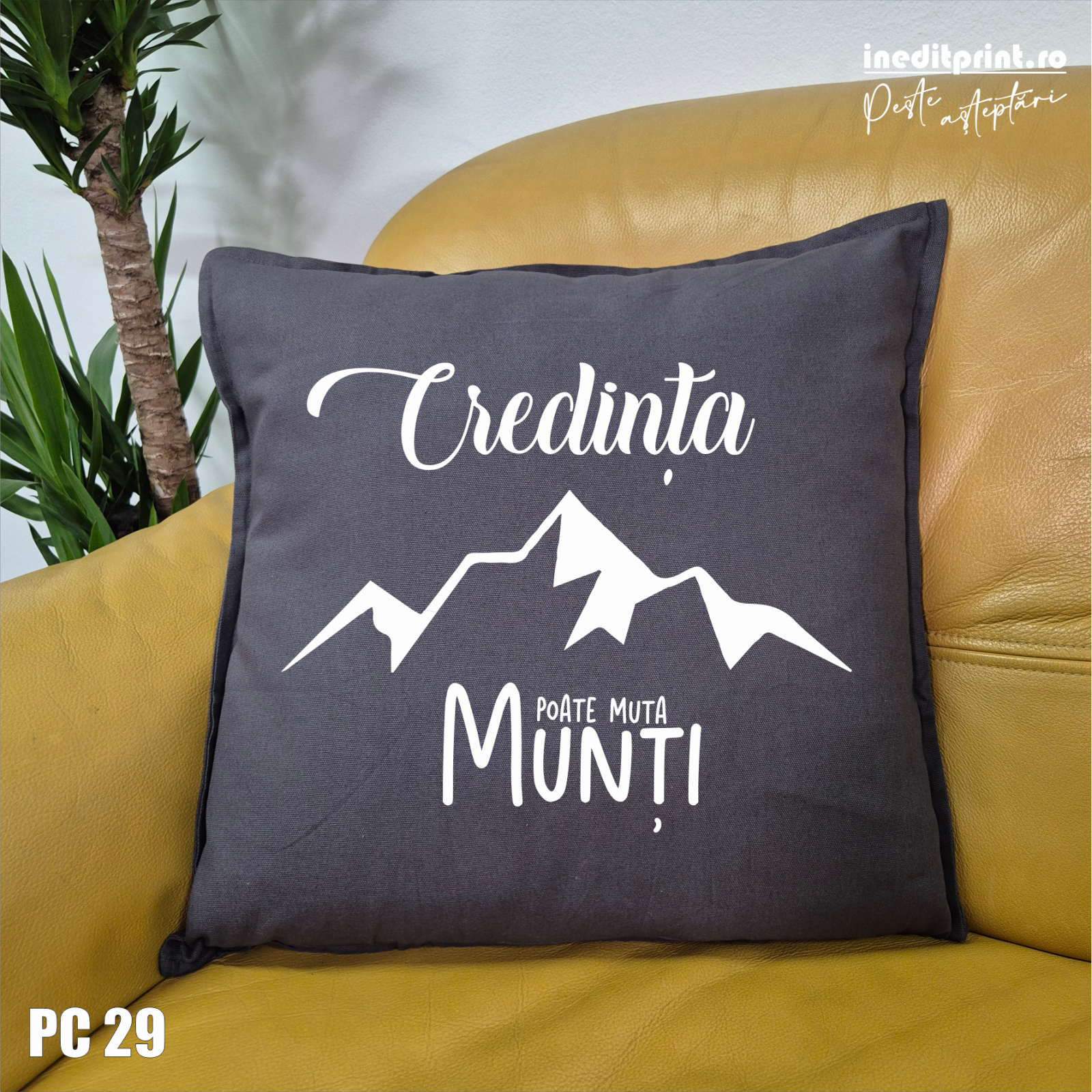 Aceasta este imaginea corespunzatoare acestui obiect