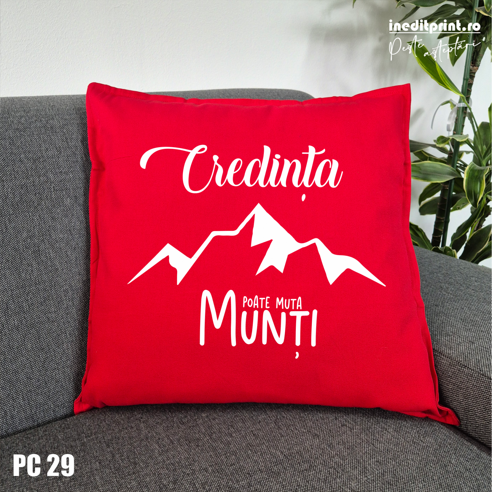 Aceasta este imaginea corespunzatoare acestui obiect