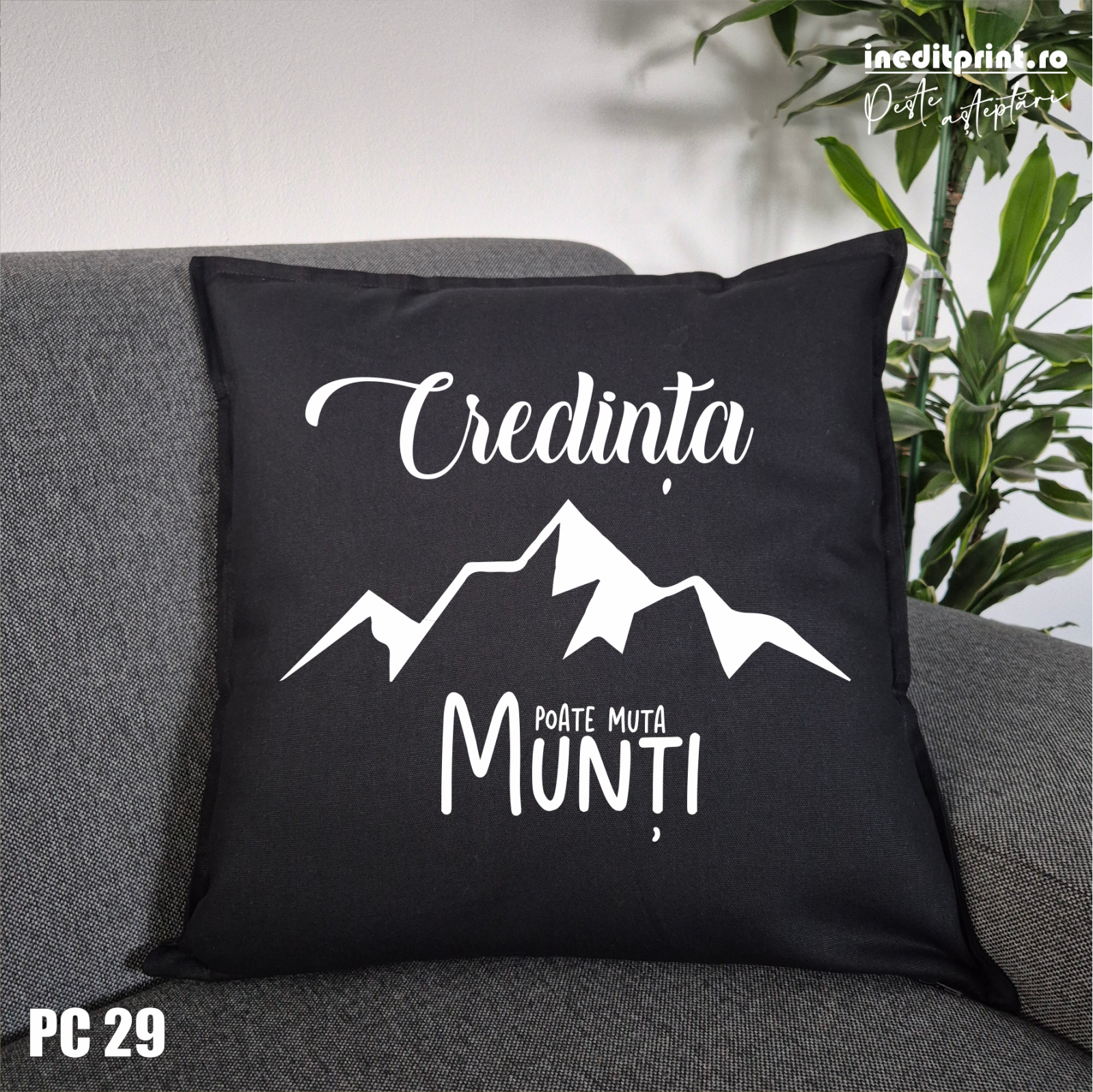 Aceasta este imaginea corespunzatoare acestui obiect