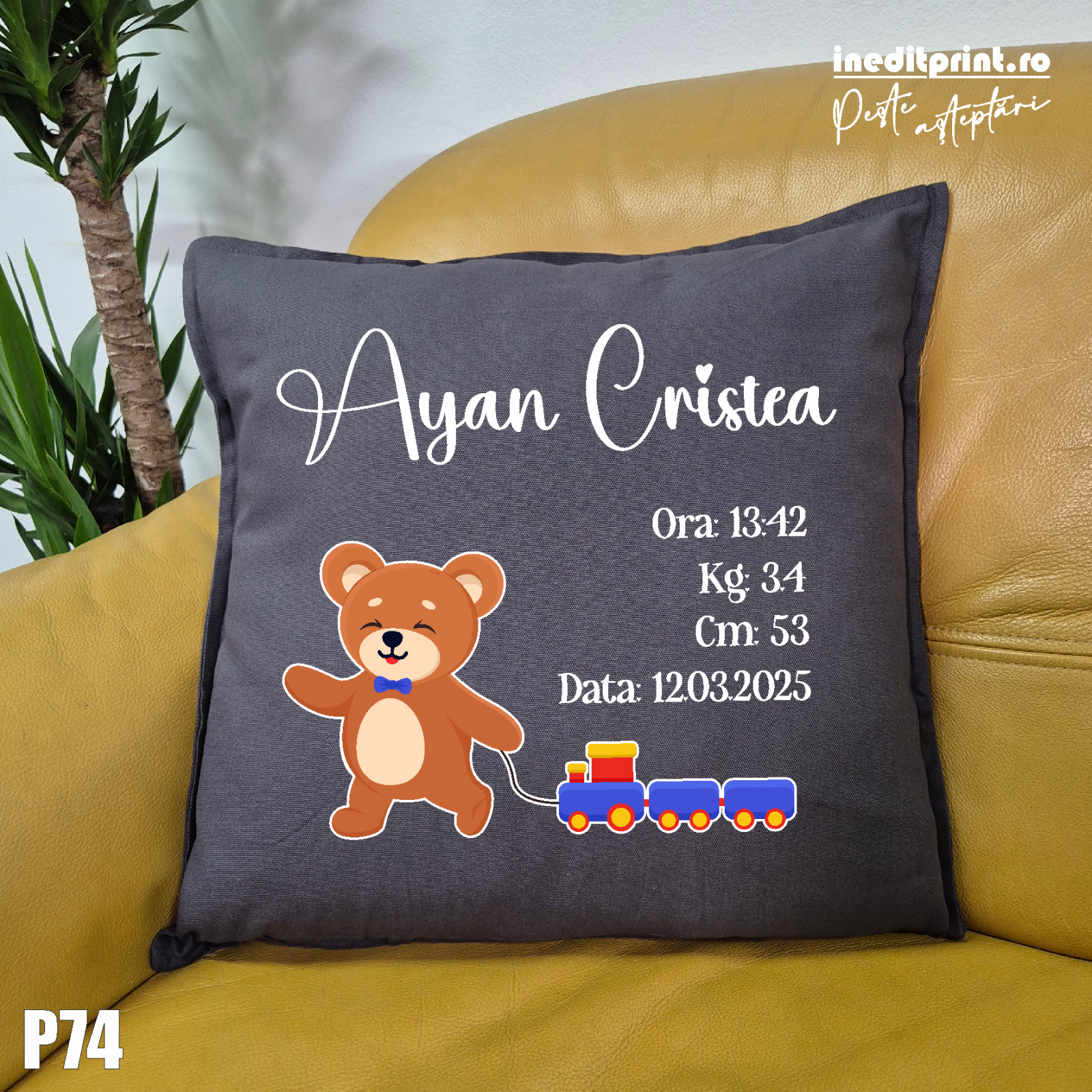 Aceasta este imaginea corespunzatoare acestui obiect