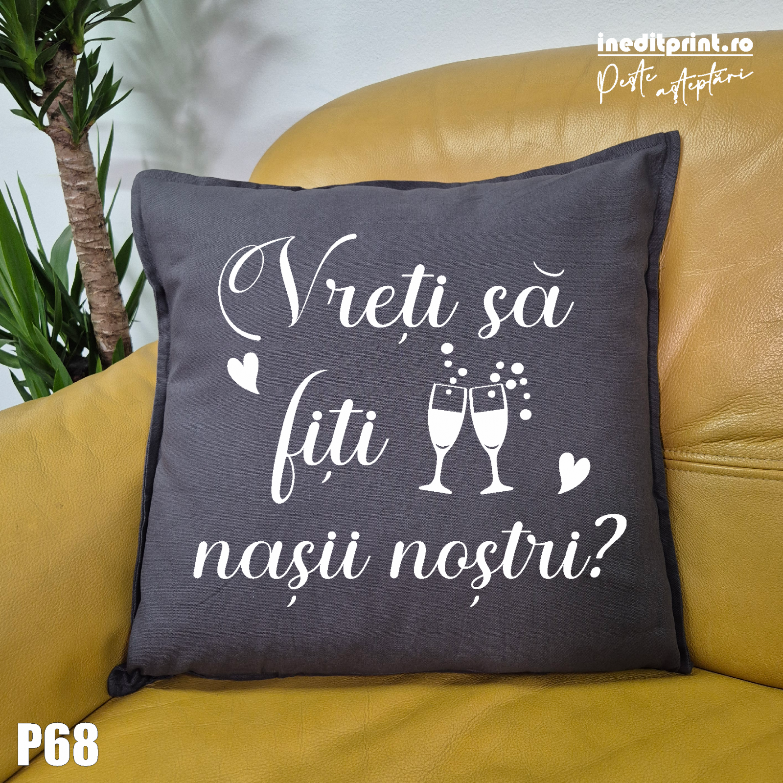 Aceasta este imaginea corespunzatoare acestui obiect