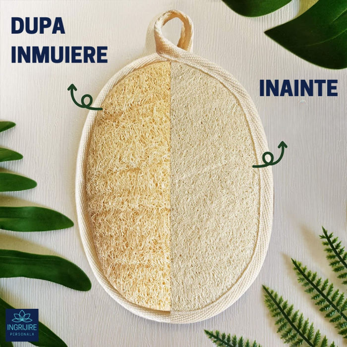 Burete de baie din lufa [3]