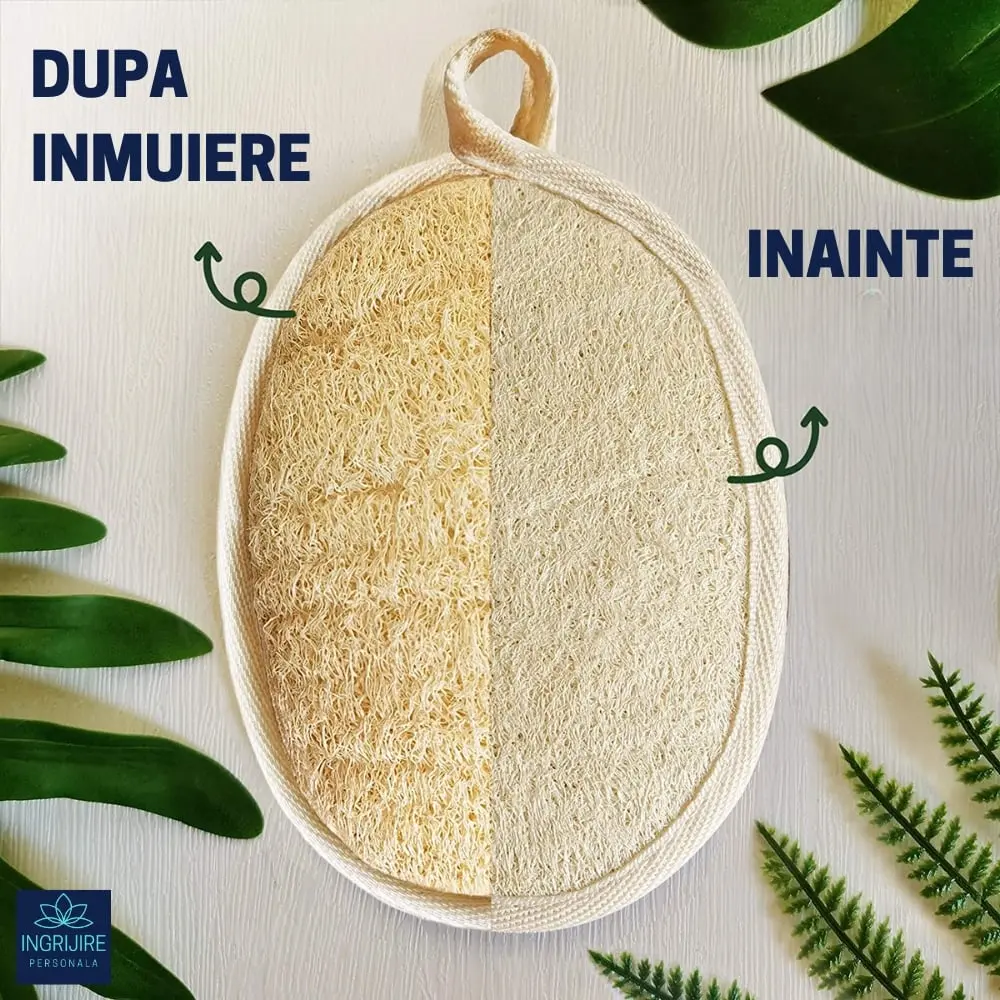 Burete de baie din lufa [2]