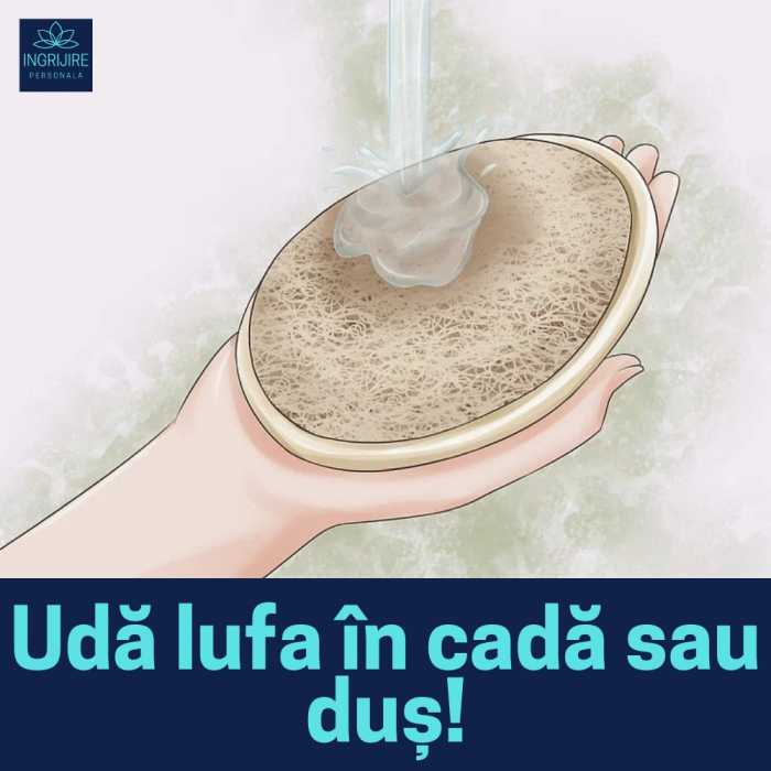 Burete de baie din lufa [8]