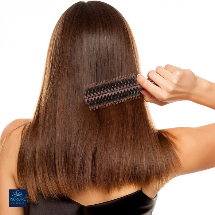 Perie de par circulara, maner hexagonal din lemn, termorezistenta [9]