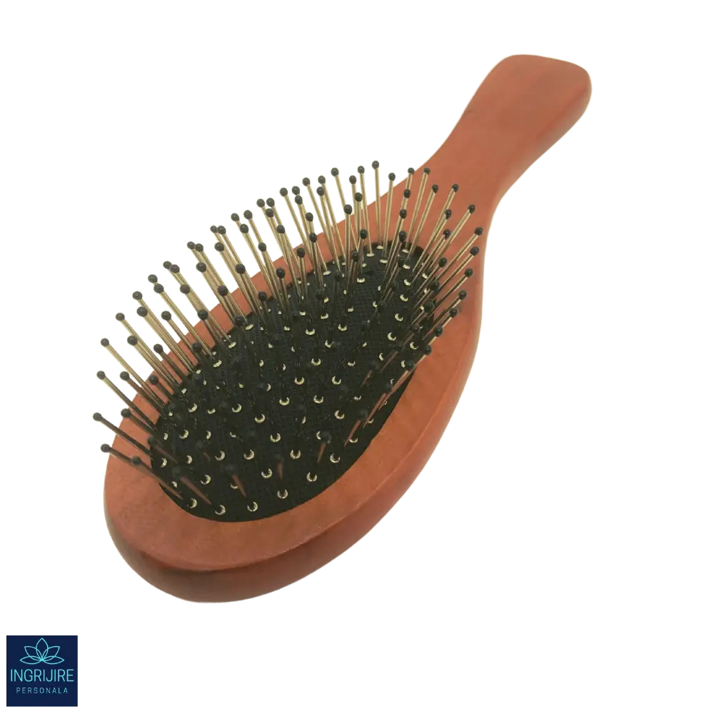 Perie de par cu maner din lemn si peri din otel [2]