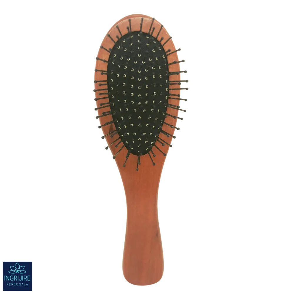 Perie de par cu maner din lemn si peri din otel [1]