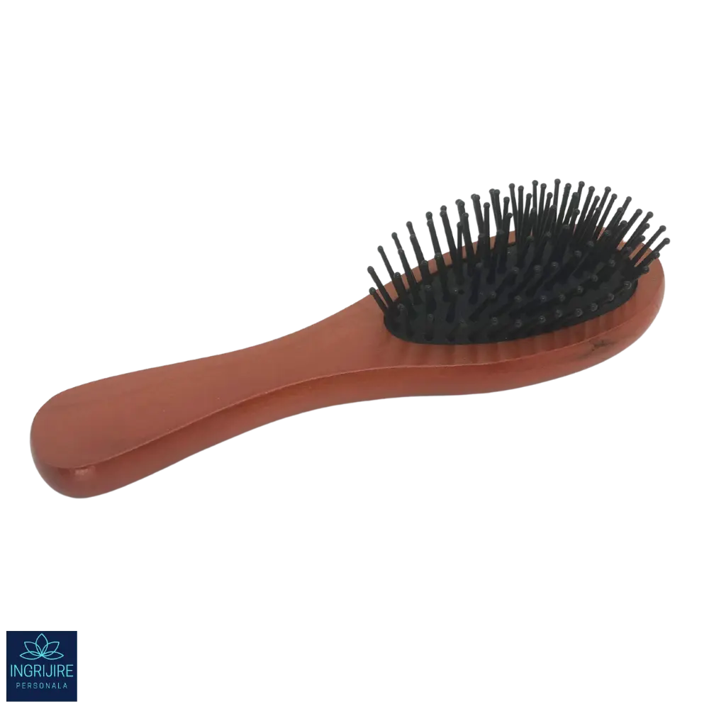 Perie de par cu maner din lemn si peri din plastic [2]