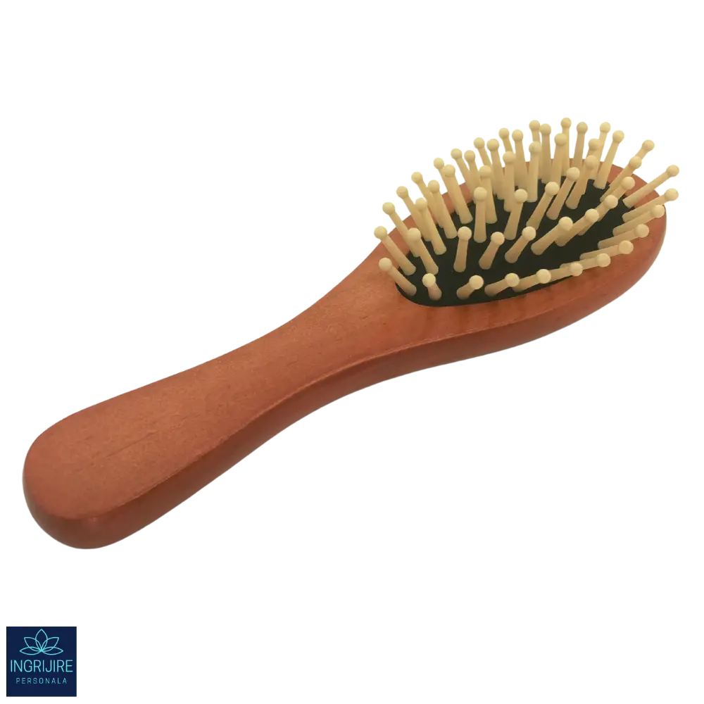 Perie de par cu maner si bulbi din lemn [3]