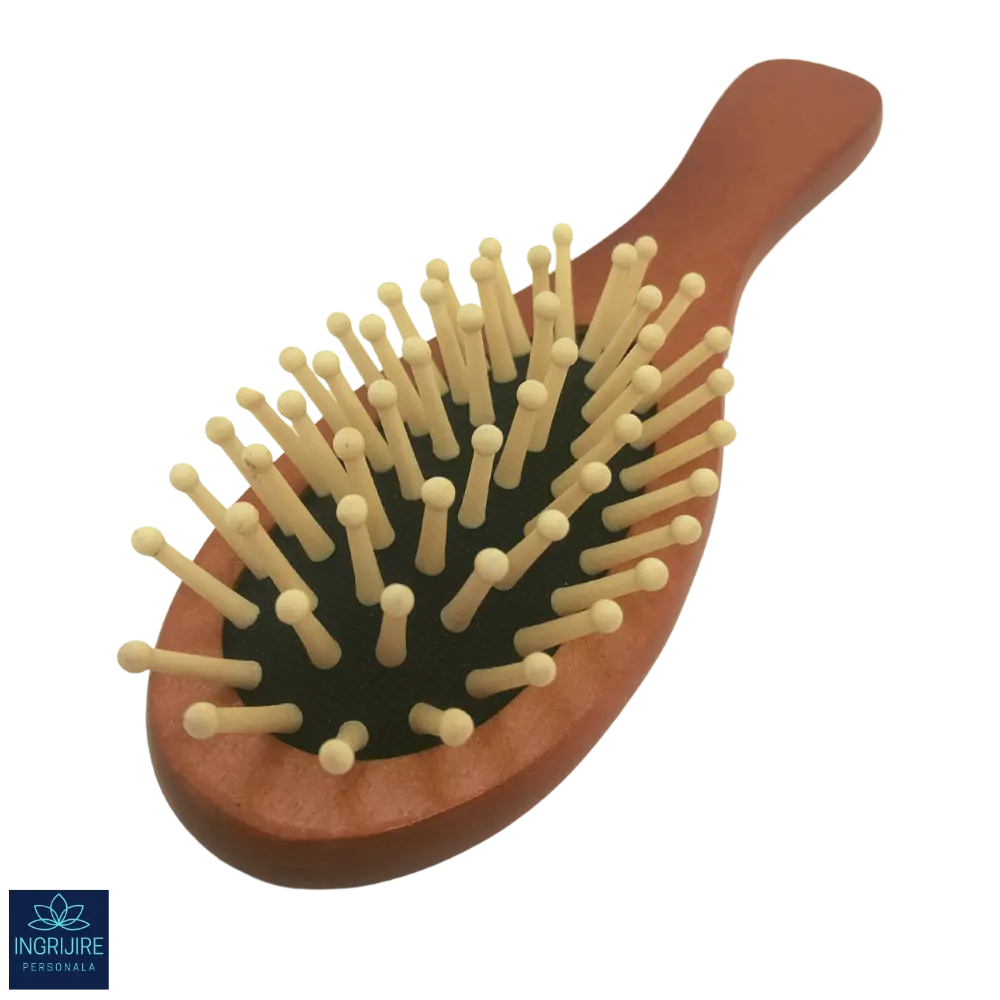 Perie de par cu maner si bulbi din lemn [2]