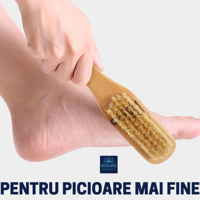 Perie dubla cu piatra ponce si maner din lemn [10]
