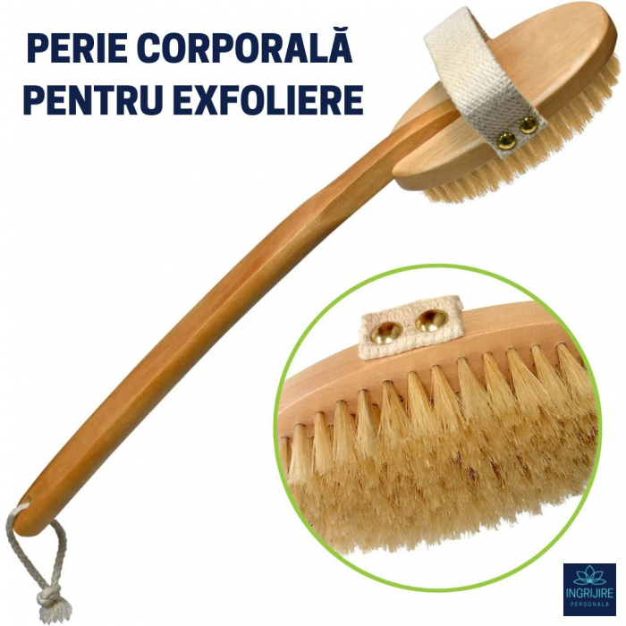 Set 3 perii de baie pentru masaj si tonifiere, lemn [8]