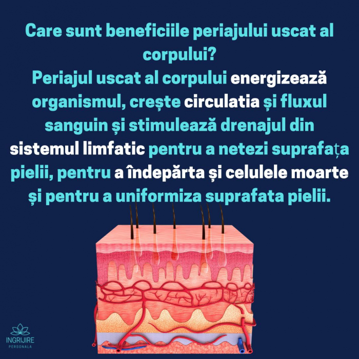Set 3 perii de baie pentru masaj si tonifiere, lemn [16]