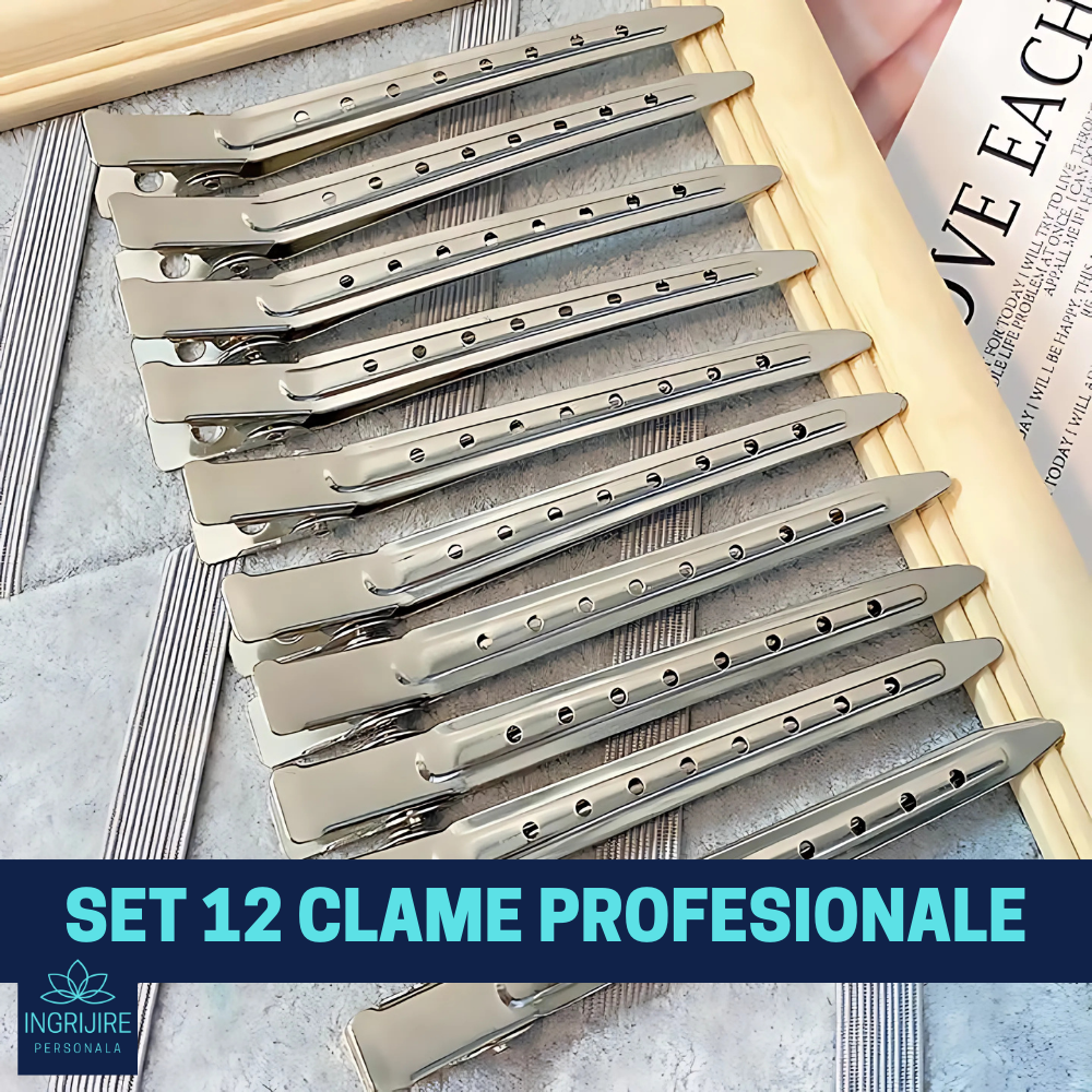 Set de 12 clame de par pentru coafura, silver [2]