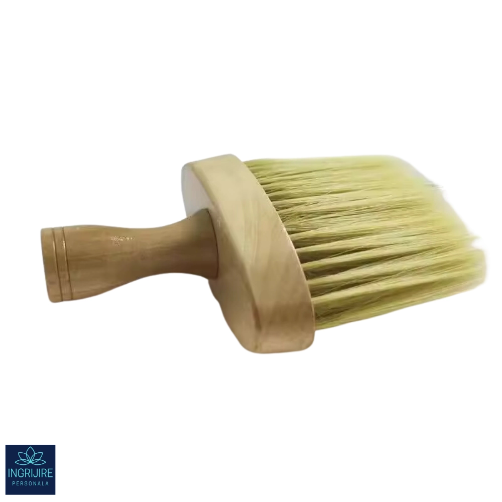 Pamatuf cu maner din lemn pentru curatarea parului [1]