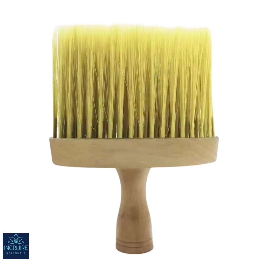 Pamatuf cu maner din lemn pentru curatarea parului [2]