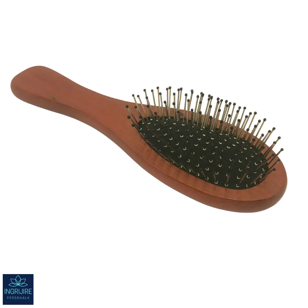 Perie de par cu maner din lemn si peri din otel [2]
