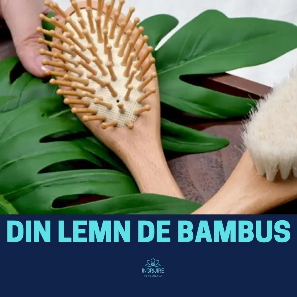 Perie de par din lemn de bambus [4]