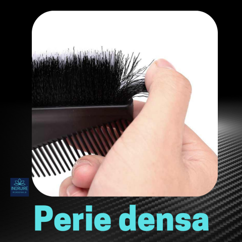Pieptan/perie pentru vopsit [3]