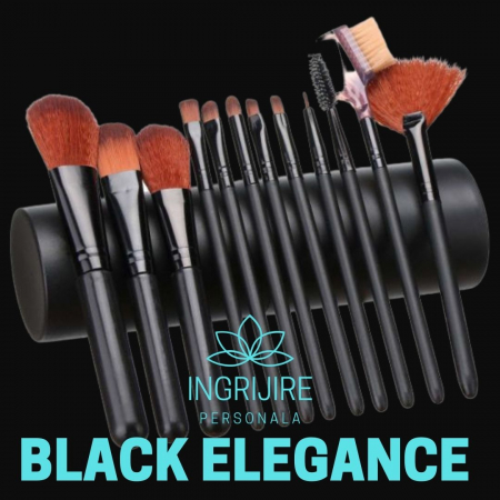 Set 12 pensule Black Elegance, machiaj profesional, cilindru transport [1]