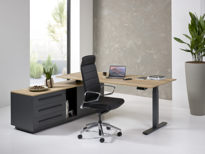 Ansamblu birou reglabil inoLift Executive - 2 motoare, sarcina 120kg [10]