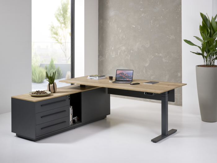 Ansamblu birou reglabil inoLift Executive - 2 motoare, sarcina 120kg [2]