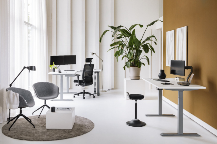 Cadru inoLift Duo Pro 2.0 Smart - 2 motoare, sarcina 120 kg, 5 ani garantie [6]