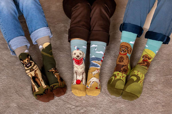 Cutie cu 4 Perechi de Șosete din bumbac Arty Socks Câini [3]