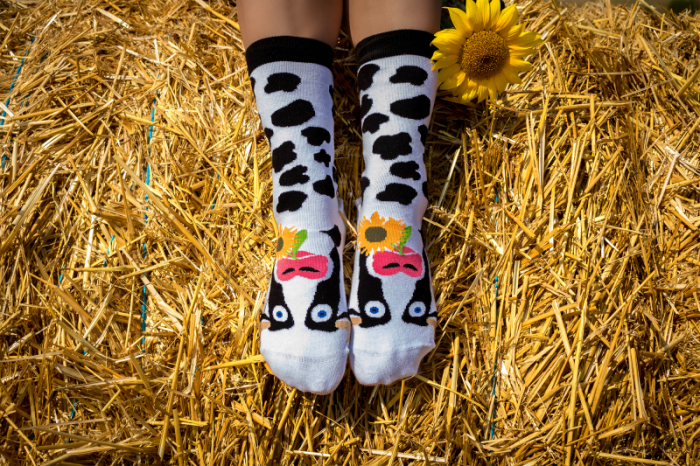 Sosete bumbac Happy Cow [4]