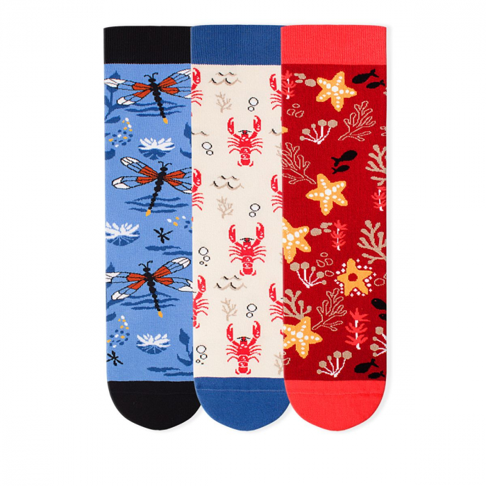 Set 3 perechi de sosete bumbac Fine Cotton Sealife Homar, Libelula, Steluta de Mare [2]